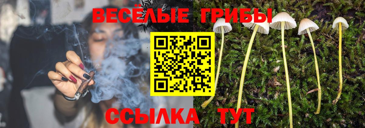 Анжеро-Судженск  Галлюциногенные грибы ЛСД  Псилоцибиновые грибы Psilocybine cubensis  Вход с VPN 